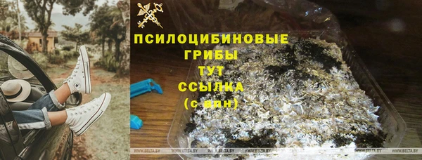 2c-b Алзамай