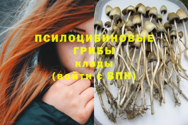 дмт Алексин