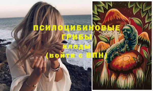 дмт Алексин